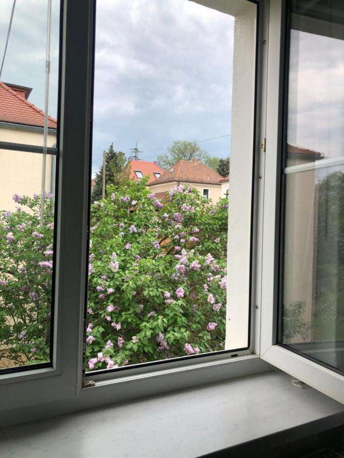Wohlfuehloase Dresden Nickern Apartment Luaran gambar